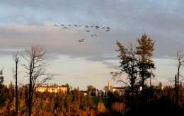 �ʼһ���ѧԺ