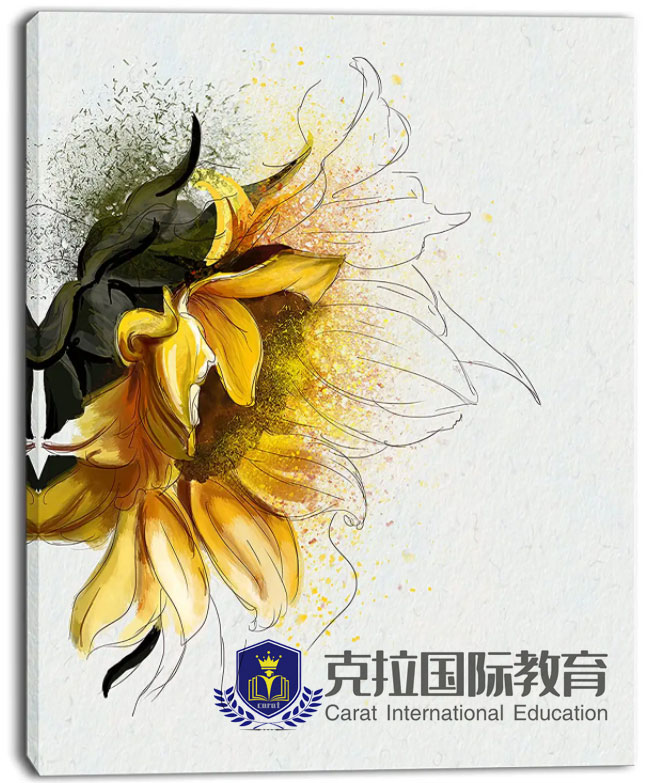 �������ʽ����������Dream School����һ����