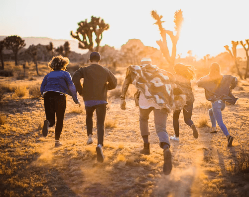 美国高中生Z同学获得哈佛国际评论赛银奖