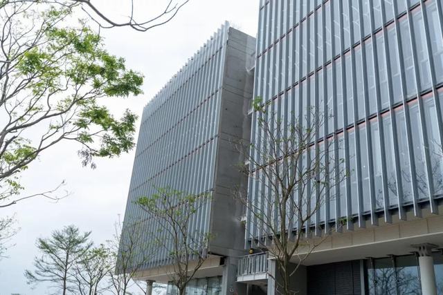 深圳荟同学校 深圳荟同学校