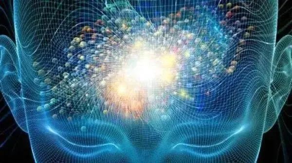 �������� | �Կ�ѧ������Brain Bee��