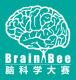 �������� | �Կ�ѧ������Brain Bee��
