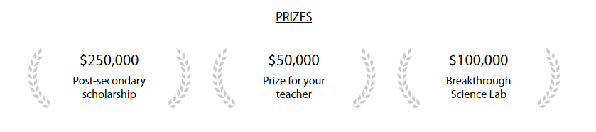 ��������ͻ������ս����BJC��