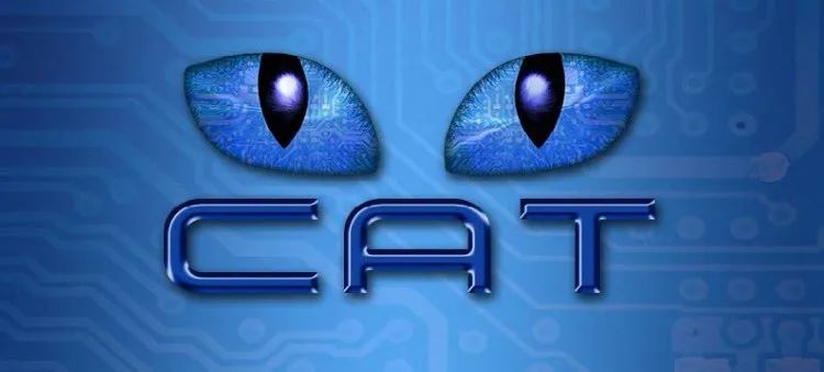 �Ĵ�������Ϣ��ѧ������CAT��