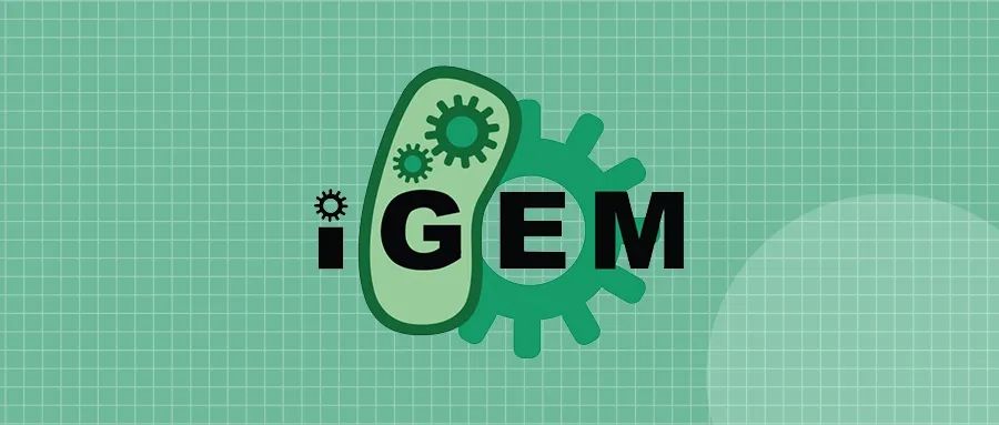 iGEM�����Ŵ����̻�������
