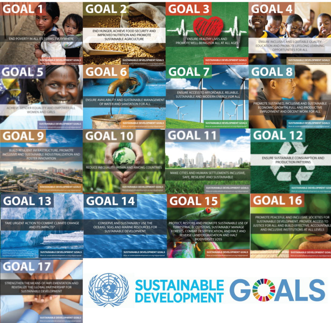 ������ʸ���������ѧ��д����ս���＾��������