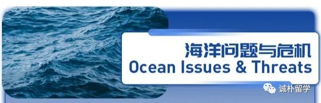 ����̽��|Conrad Spirit Of Innovation Challenge�����´�ҵ��ս������������