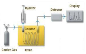 �������� | ���ʻ�ѧ֪ʶ������ICQ��