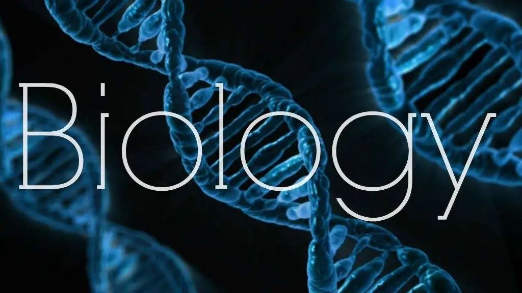 �Ĵ������������ƥ�˻��ASOB��