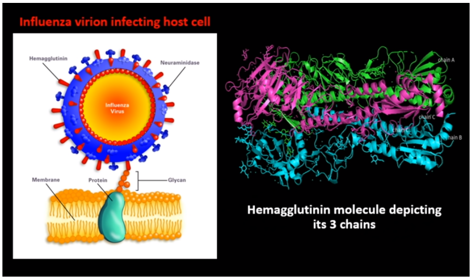 Ѱ��5-8�꼶��СС��ѧ�ҡ�Ӯȡ25,000��Ԫ�󽱣�2022���������ѧ����ս����������ʱ