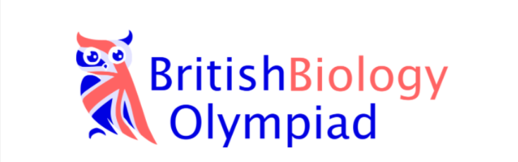 2022BBO���ﾺ�����Դ�ټ�����������