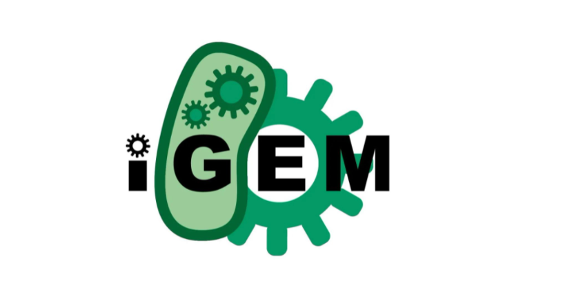 2022 iGEM���ʻ��򹤳̻���������ӱ�����